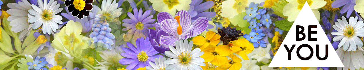 Cover Photo