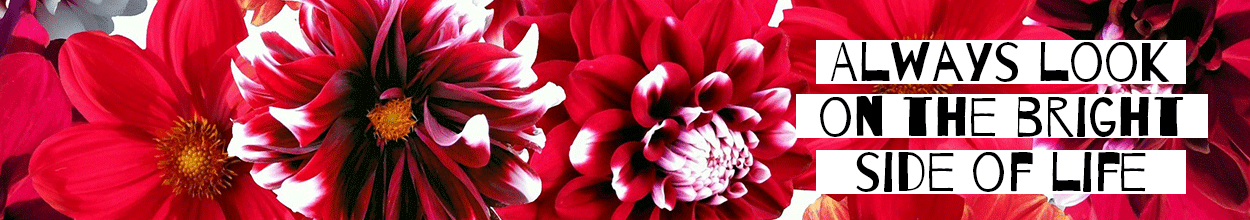 Cover Photo